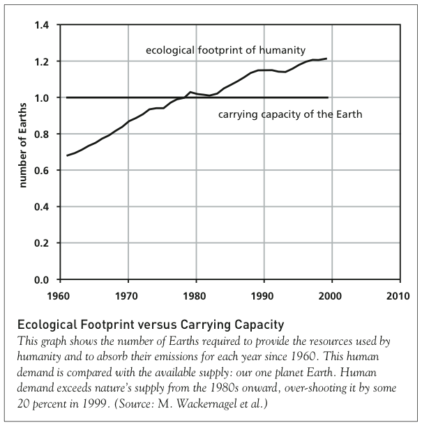 limit to growth thesis