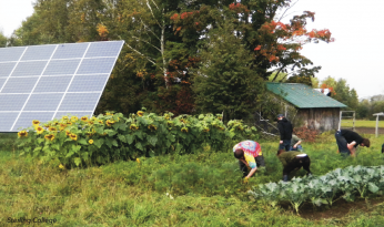 People working on a Vermont farm with solar panels in the background