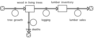 stock and flow diagram of a forest